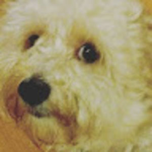 Meet your Posher, Hoony